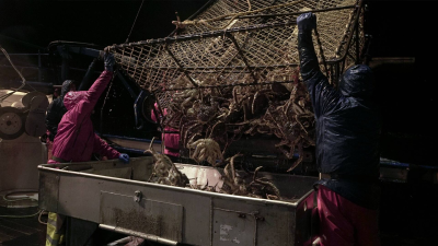 Pesca radical T14 · Convertirse en capitán