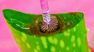 Tips De Belleza, Trucos