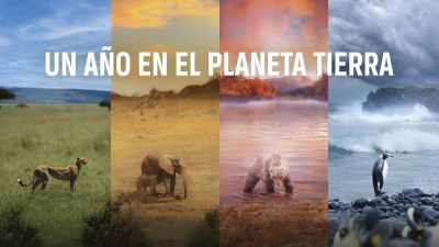 Un año en el planeta Tierra T1 E1 · Invierno