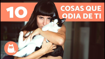 Cosas que los gatos odian más de sus dueños