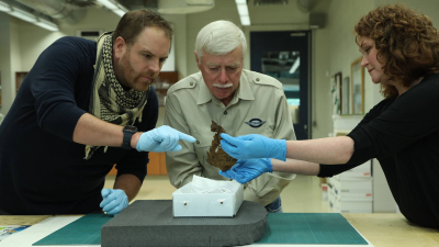 Expedición al pasado: El rival perdido de Lindbergh