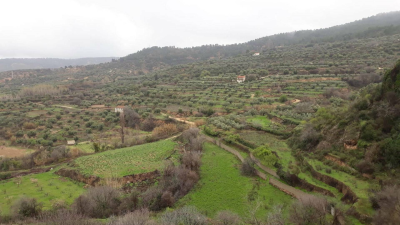 El escarabajo verde: Al borde del abismo 2
