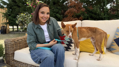 Dog House T2 E6