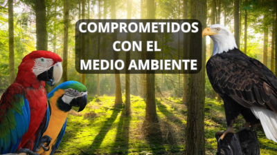 Comprometidos con el medio ambiente T1 E3 · Amazona y loro San Vicente
