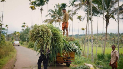 Asia 2050
