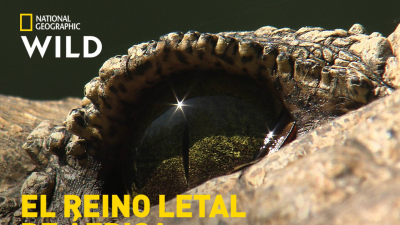 El reino letal de África: Costas