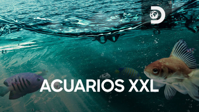 Acuarios XXL: El acuario de Ludacris