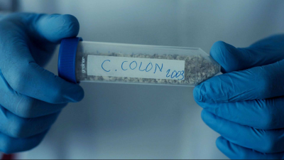 Colón ADN. Su verdadero origen