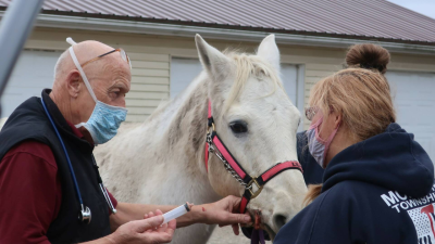 El increíble doctor Pol: A punto de reventar