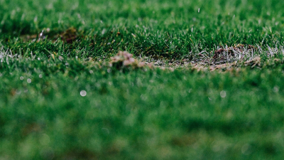 Premier League Features T2 · Rodrigo Hernández, excepcionalmente normal