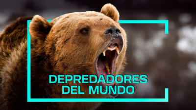 Depredadores del mundo T1 E1 · África