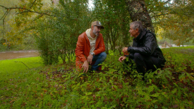 El señor de los bosques T2 · La Acebeda