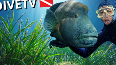 DiveTv T1 E5 · Una isla encantadora