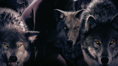 La marca del lobo