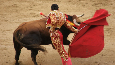 Tendido cero T25/26 E29