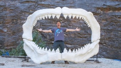 Depredadores letales