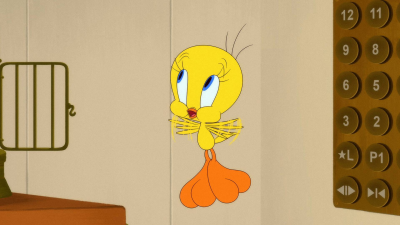 Looney Tunes Cartoons T6