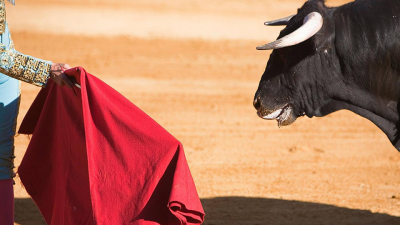 Toros y pueblos