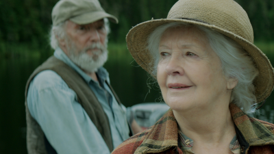 Y llovieron pájaros