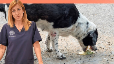 Cuida al 100% de su salud