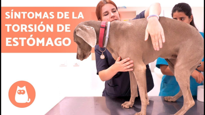 Cuidados para una buena salud