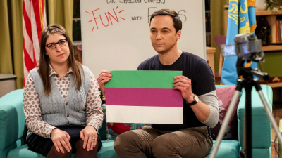 Big Bang T12 E13 · La polarización de la confirmación