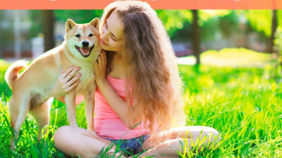 La importancia de la adopción y el voluntariado