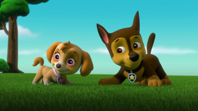 La patrulla canina T7 E2 · La patrulla salva el día de las elecciones; La patrulla salva a los monos-pompa