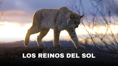 Los reinos del Sol